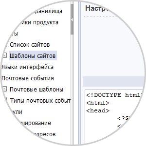 разработка и создание сайтов в санкт-петербурге